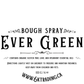 Ever Green Bough Spray