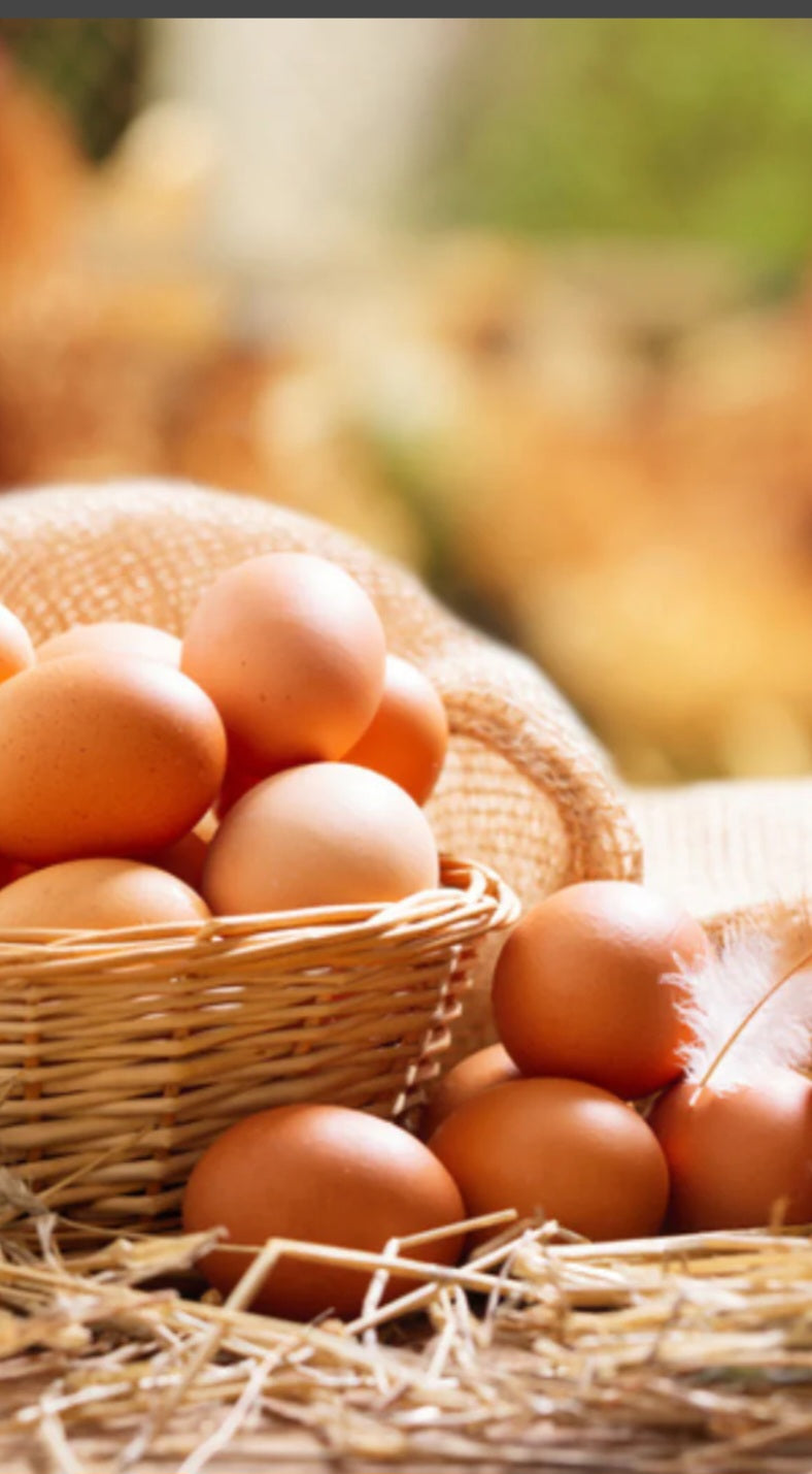 Free Range Eggs from Happy Hens